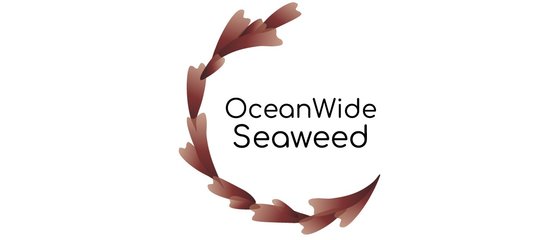 oceanwide-seaweed